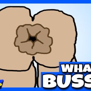 What is a BUSSY